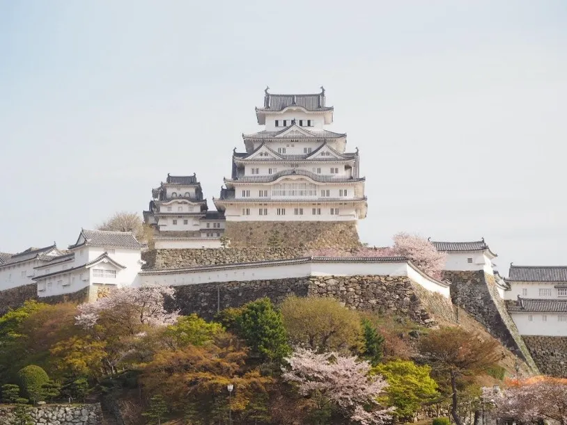 姫路研修旅行　野沢園ブログ