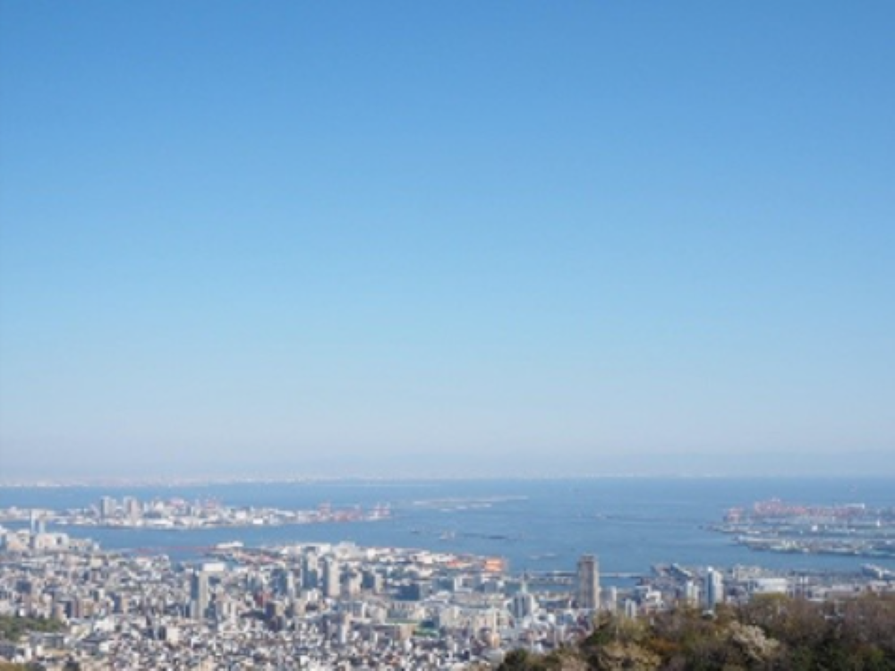 野沢園ブログ　神戸研修出張　ハーブ園