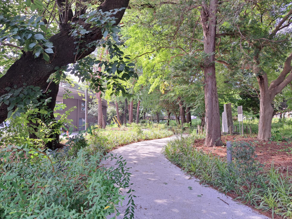 清瀬中央公園　植栽工事　施工実績