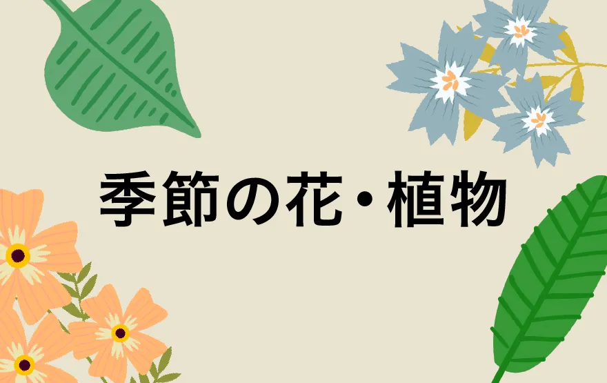季節の花・植物