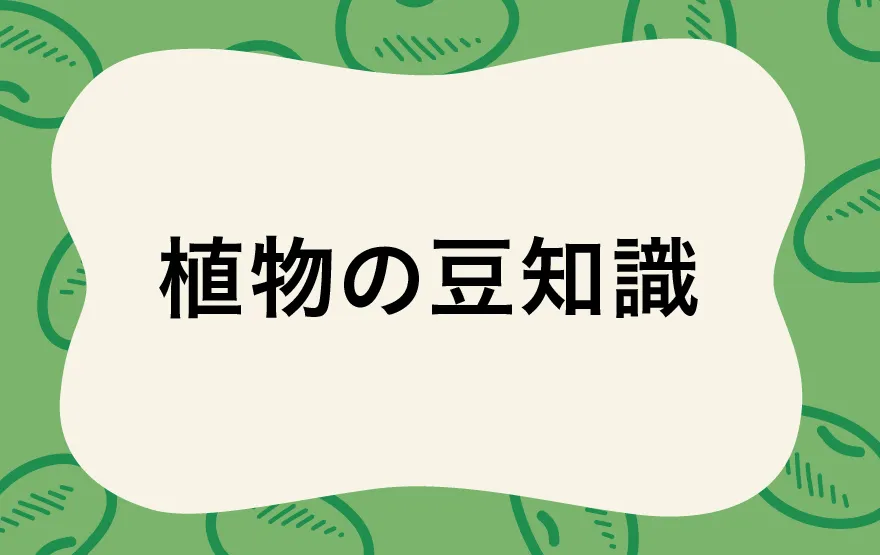 植物の豆知識