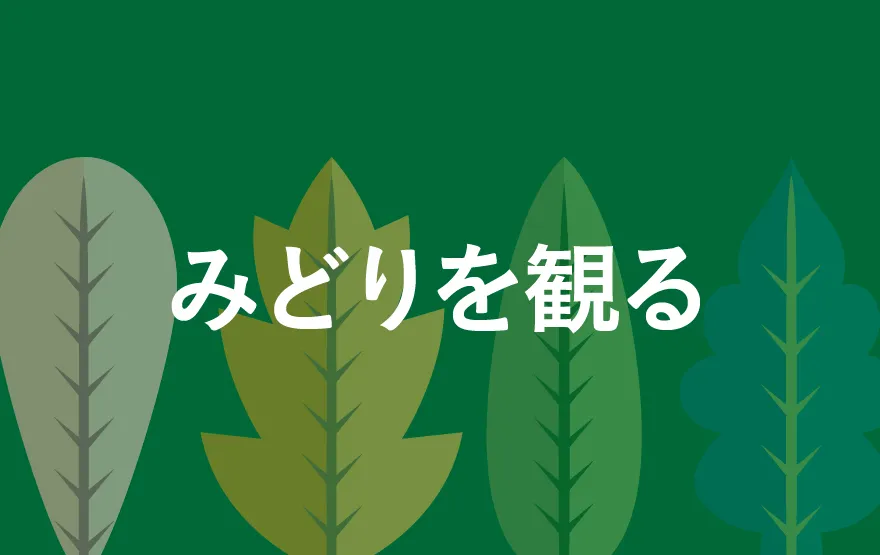 みどりを観る