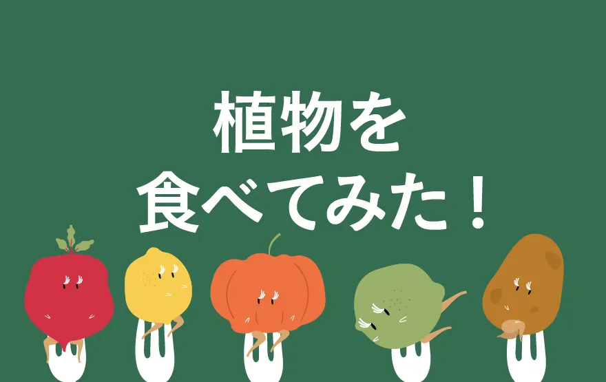 植物を食べてみた
