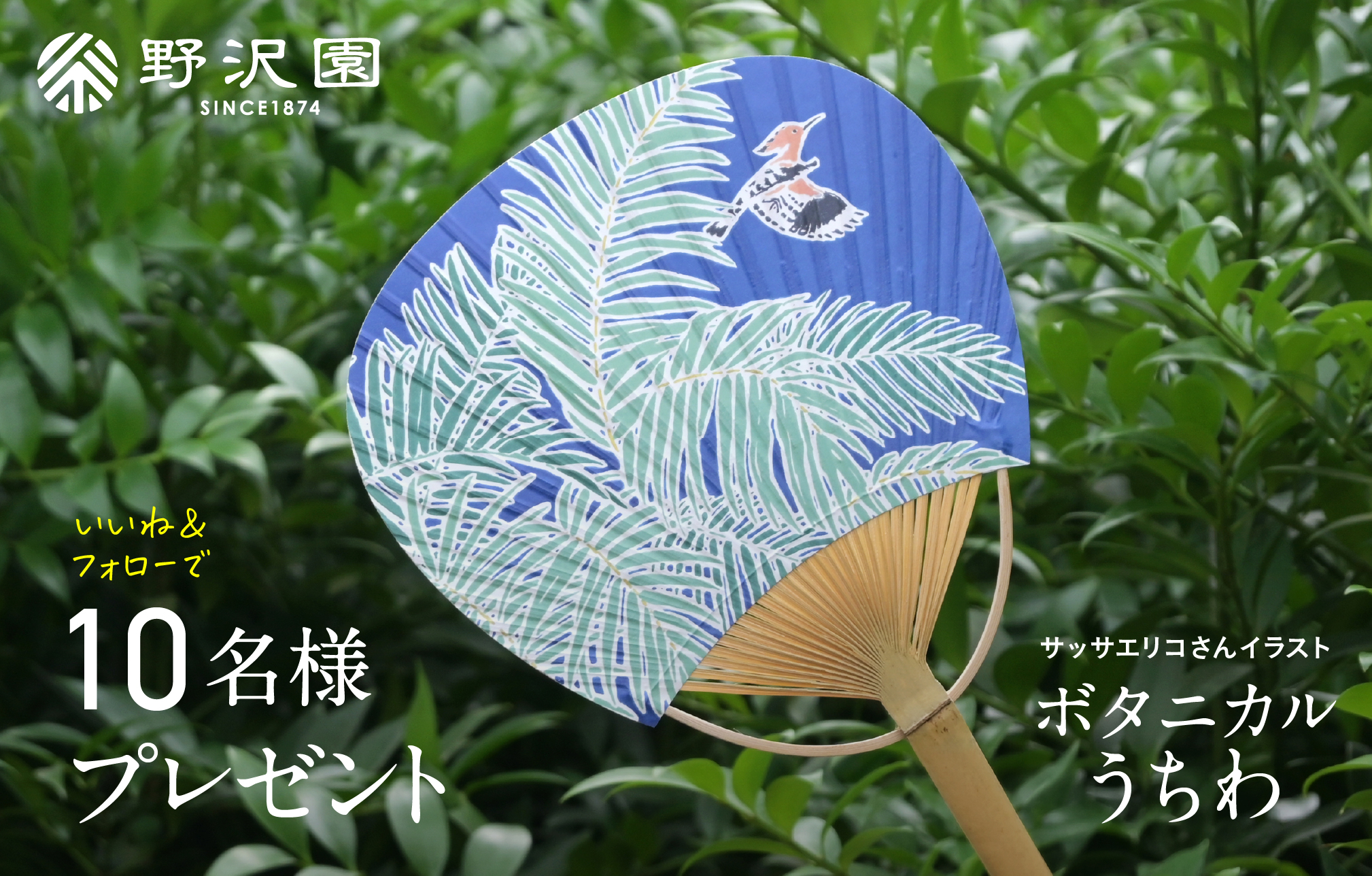うちわプレゼントキャンペーン　野沢園ニュース