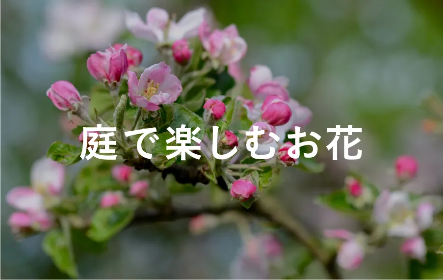 庭で楽しむお花