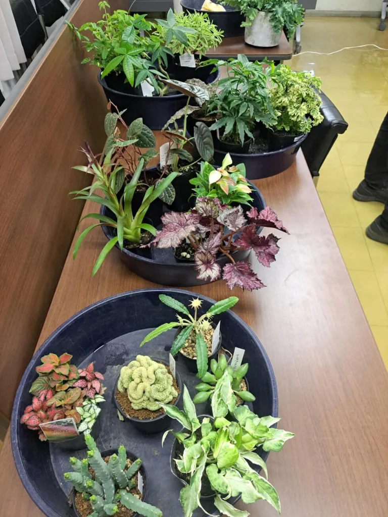 植物カレンダー撮影風景 植物たち 野沢園日記